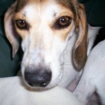 Mollie