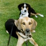 Nellie & Sam