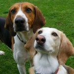 Tish & Jasper